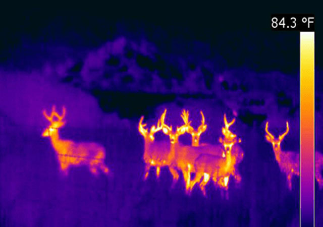 How far can an infrared thermal imager see?