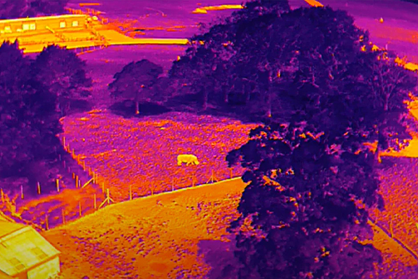 Thermography