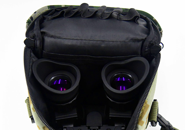 Protective measures for safe use of low-light night vision devices
