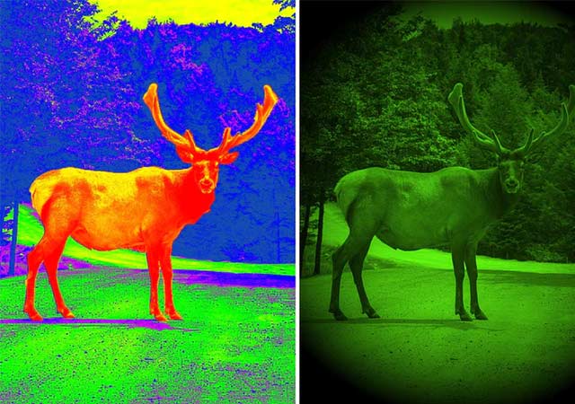 The difference between low-light night vision and infrared night vision