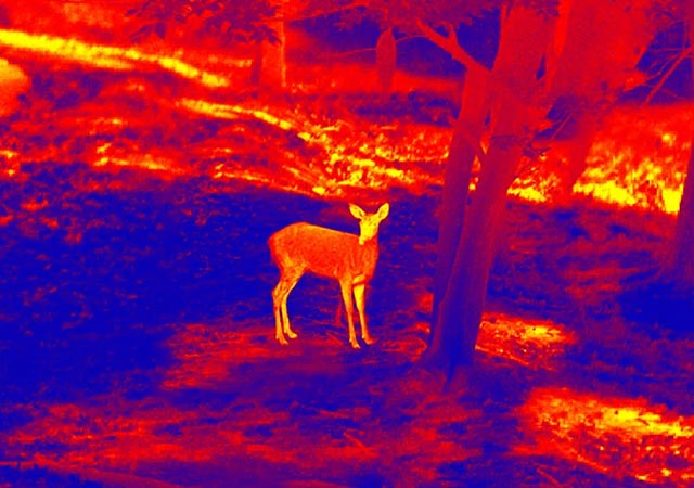 Five key configuration parameters when purchasing infrared thermal imaging