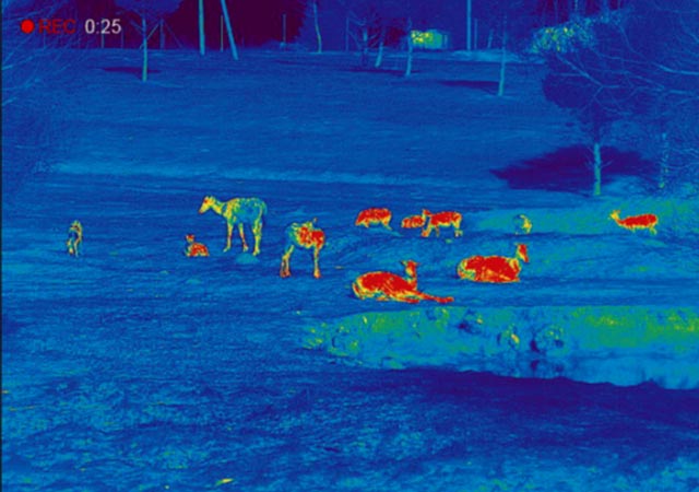 The difference between night vision and thermal imaging