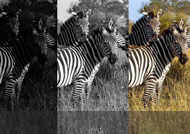 Basic knowledge of the new generation of full-color night vision devices
