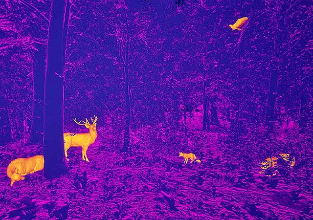 The application of night vision devices is becoming more and more diversified and civilian-oriented